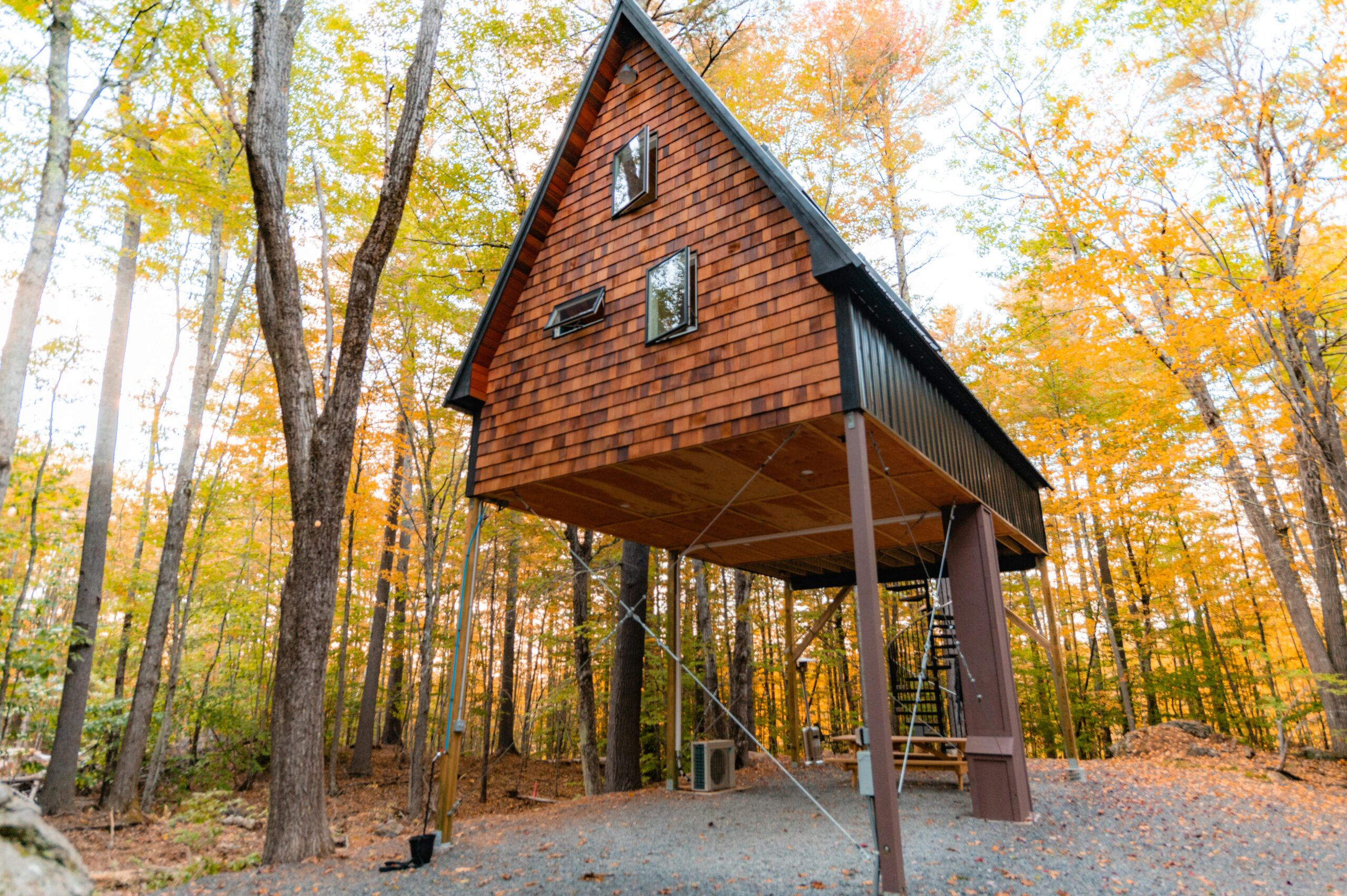 Elevated treehouse cabin amidst vibrant fall foliage in forest setting.